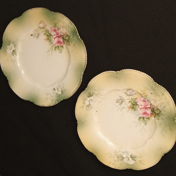 Old china plates Flora print - Picture 2 of 9